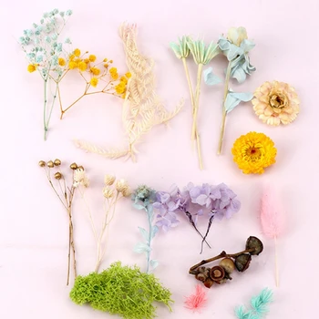 1 Dėžutė Džiovintos Gėlės UV Dervos Dekoratyvinių Natūralių Gėlių Lipdukai 3D Sausas Grožio Decal Epoksidinės Pelėsių 