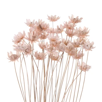 30Pcs Daisy Mažų Žvaigždučių Gėlių Puokštė Sausų Gėlių Paspauskite Mini Dekoratyvinis Fotografijos Sausų Gėlių, Vestuvių Namų Puošybai