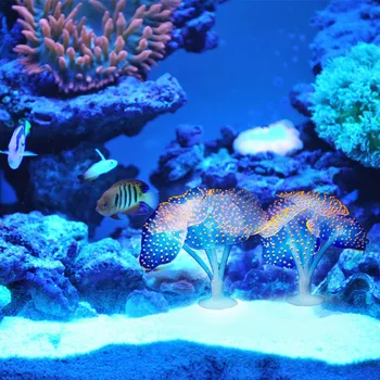 5 Spalvos Silikono Akvariumas Dirbtinis Švytinčių Koralų Ornamentu Su Siurbtuko Žuvų Bakas Kraštovaizdžio Coral Flower Apdaila