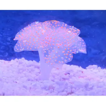 5 Spalvos Silikono Akvariumas Dirbtinis Švytinčių Koralų Ornamentu Su Siurbtuko Žuvų Bakas Kraštovaizdžio Coral Flower Apdaila