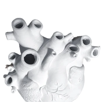 Anatominiai Širdies Formos Vaza Šiaurės Vazonas Kūno Menas Vaza Skulptūra Namų Dekoro Darbalaukio Ornamentą, Gėlių, Augalų Turėtojas