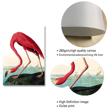 Flamingo Spausdinti Iliustracija Paukščių Amerikos Laukinės gamtos Piešimo Drobė, Tapyba Šiaurės Plakatas Ir Spausdinimo Pobūdžio Sienos Menas Namų Dekoro