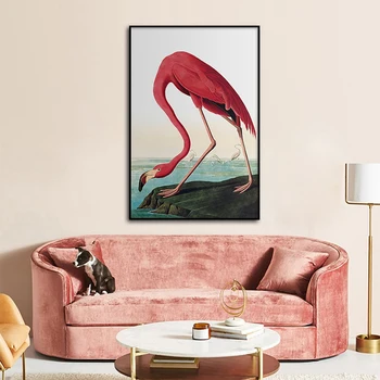 Flamingo Spausdinti Iliustracija Paukščių Amerikos Laukinės gamtos Piešimo Drobė, Tapyba Šiaurės Plakatas Ir Spausdinimo Pobūdžio Sienos Menas Namų Dekoro