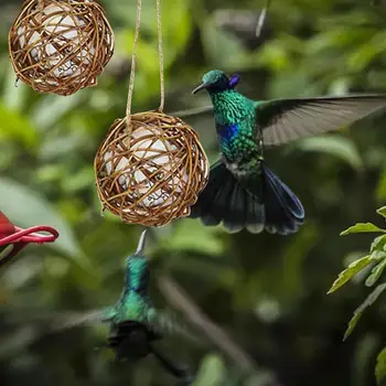 Hummingbird Lizdus Sūpynės Paukščių Kabantys Žaislai, Rankomis austi Rotango Pasaulyje Paukštis Papūga Namas Su Medvilnės Šuniukas Mažas Augintiniai Žaislai
