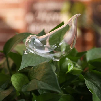 Mielas Automatinė Gėlių Laistymo Įrenginys Stiklo Savarankiškai Laistymo Statymų Augalų Stiklo Waterer Automatinė Laistymo Vandens Gaublys iš NAUJO