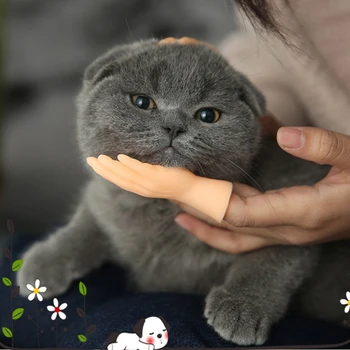 Palmių Formos Juokingi Mini Rankas Kūrybos Piršto Pristatomos Vaikiškos Lovelės Mažų Vertus Erzinti Kitten Katėms