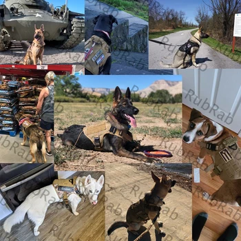 Taktinis Šuns Pakinktai Vest Karinių Darbo Mokymo Molle Liemenės Metalo Sagtis Aviganis Labradoro Patvarus Pet Saugos Diržas
