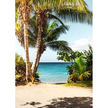 Vasarą Tropinės Jūros Paplūdimys, Palmių Medžių Fotografijos Foną, Gamtos Vaizdingos Foto Backdrops Photocall Foto Studija 1911 CXZM-02