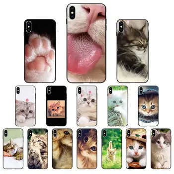 YNDFCNB mielas gyvūnų naminių kačių minkštas Telefono dėklas skirtas iphone 11 Pro Max X XS MAX 6 6s 7 8 Plius 5 5S 5SE XR SE2020