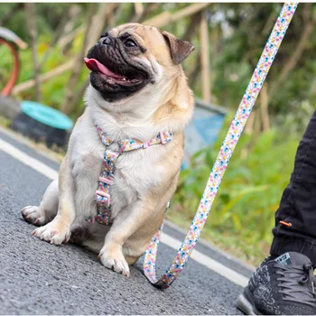 Šunų antkaklis mados dizaineris spausdinti nailono šuns pakinktai atskyrimo greitai išleidžiamos pet panaudoti vest pėsčiomis diržas reguliuojamas