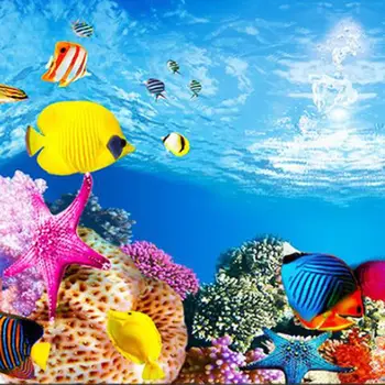 Žuvų Bakas Priedai 3D Akvariumo Fonas Lipdukas Plakatas dvipusis Akvariumo Augalų Fone Plakatas Akvariumo Reikmenys